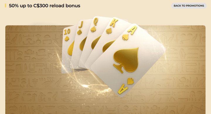 Entdecke die spannenden Promotionen und Boni bei Winmega Deutschland in Germany